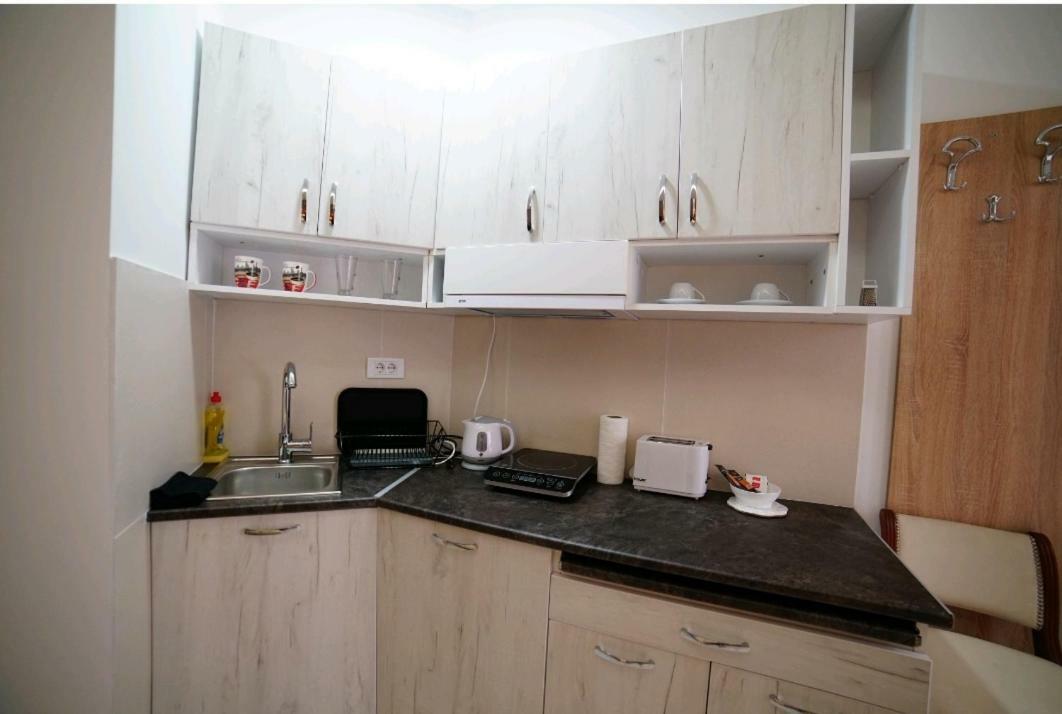Apartmani Diksi Zrenjanin Zewnętrze zdjęcie